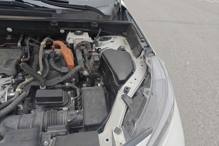 Used Toyota Wildlander 2022 Dual-Motor 2.5L E-CVT 4x4 Luxury PLUS Edition Engine Bay Left