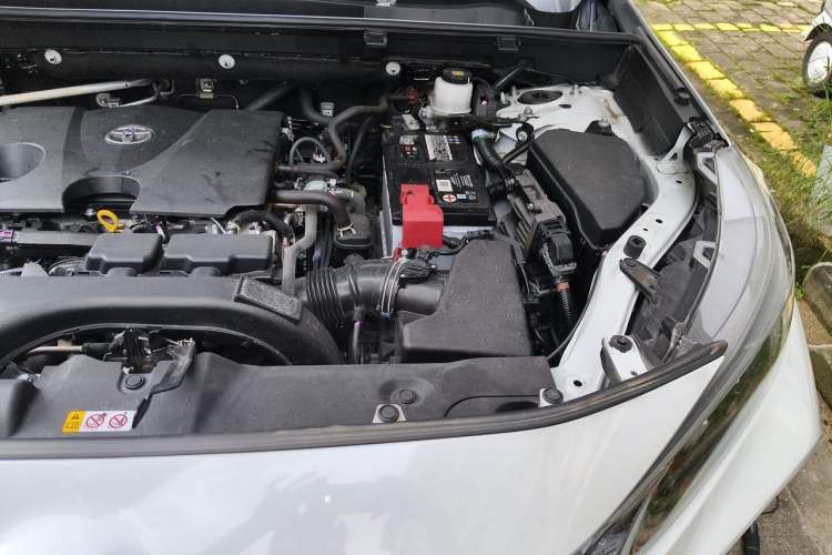 Used Toyota Wildlander 2022 2.0L CVT Two-Wheel Drive Luxury PLUS Edition Engine Bay Left