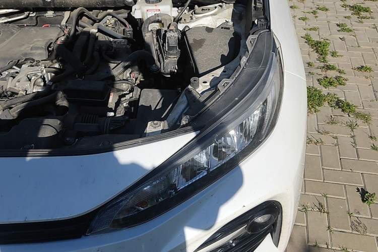 Used Toyota Wildlander 2022 Dual-Engine 2.5L E-CVT Two-Wheel Drive Luxury PLUS Edition Engine Bay Left