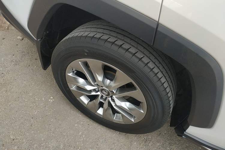Used Toyota Wildlander 2022 2.0L CVT Four-Wheel Drive Luxury Edition Exterior 5