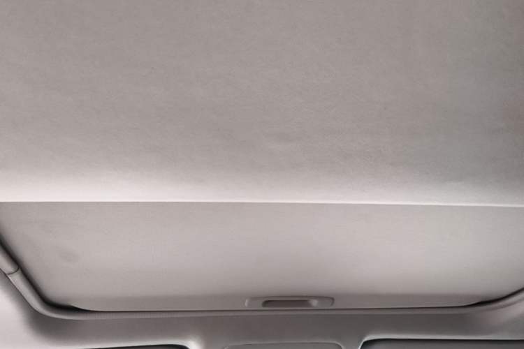 Used Toyota Wildlander 2022 2.0L CVT Four-Wheel Drive Luxury Edition Headliner