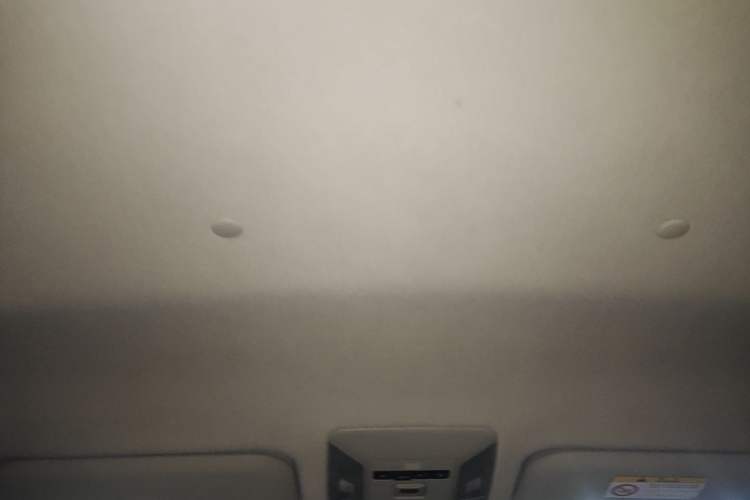 Used Toyota Wildlander 2022 Updated Version 2.0L CVT Two-Wheel Drive Leading Edition Headliner