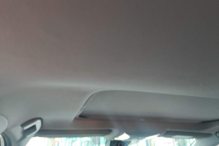 Used Toyota Wildlander 2022 2.0L CVT 4x4 Luxury PLUS Edition Headliner