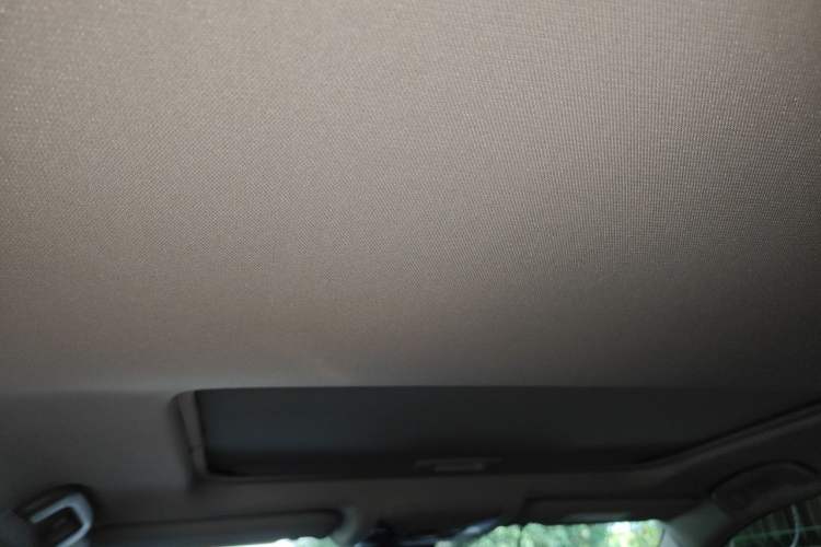 Used Toyota Wildlander 2022 2.0L CVT Two-Wheel Drive Luxury PLUS Edition Headliner