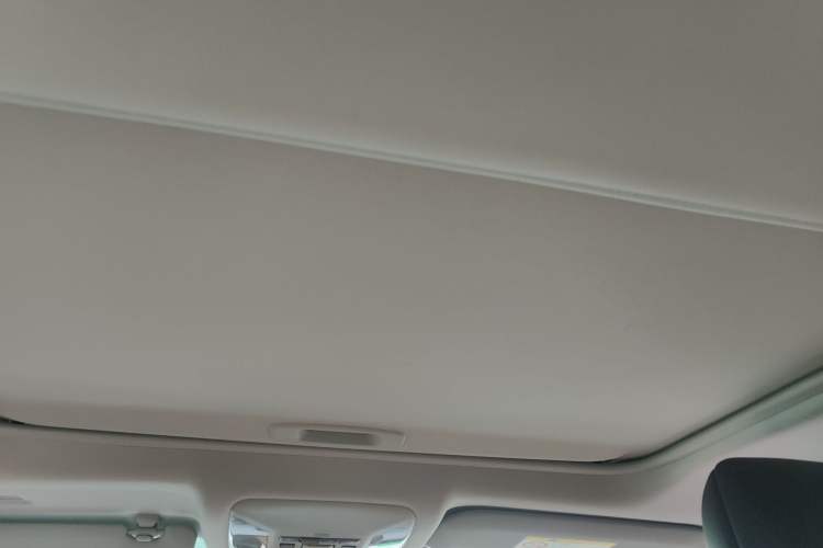 Used Toyota Wildlander 2022 2.0L CVT Two-Wheel Drive Luxury PLUS Edition Headliner