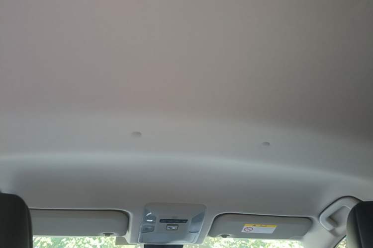 Used Toyota Wildlander 2022 2.0L CVT Two-Wheel Drive Urban Edition Headliner