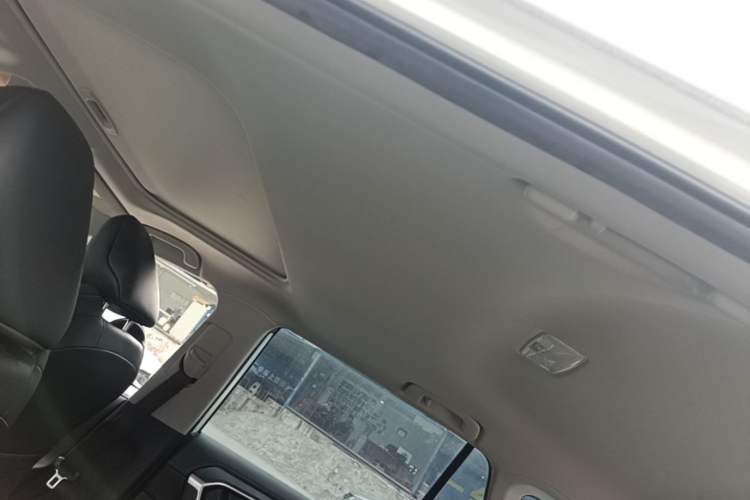 Used Toyota Wildlander 2022 Dual-Engine 2.5L E-CVT Two-Wheel Drive Luxury PLUS Edition Headliner