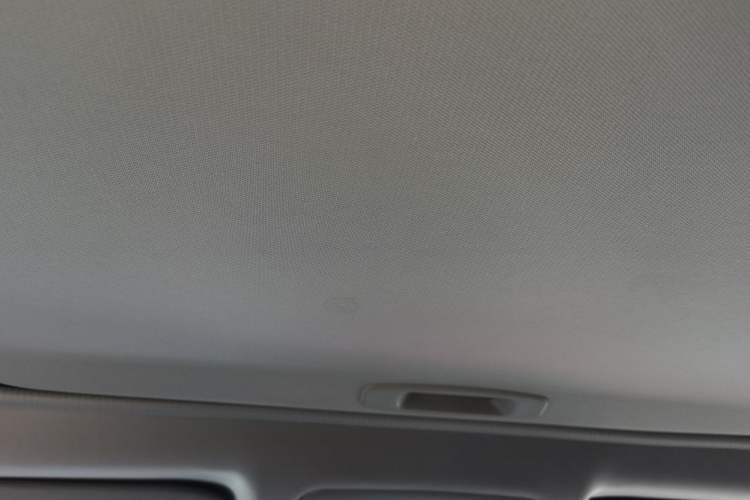 Used Toyota Wildlander 2022 2.0L CVT Two-Wheel Drive Luxury PLUS Edition Headliner