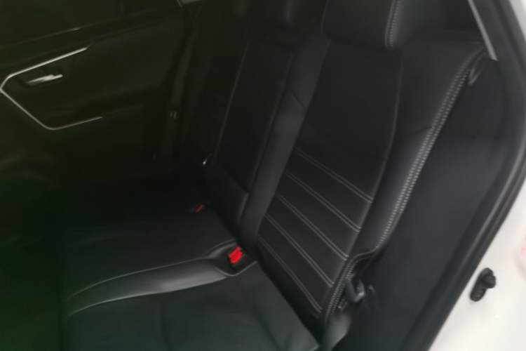 Used Toyota Wildlander 2022 2.0L CVT Two-Wheel Drive Luxury PLUS Edition Left Rear Seat