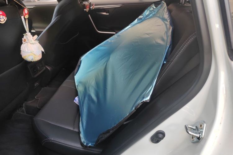 Used Toyota Wildlander 2022 Dual-Engine 2.5L E-CVT Two-Wheel Drive Prestige Edition Left Rear Seat