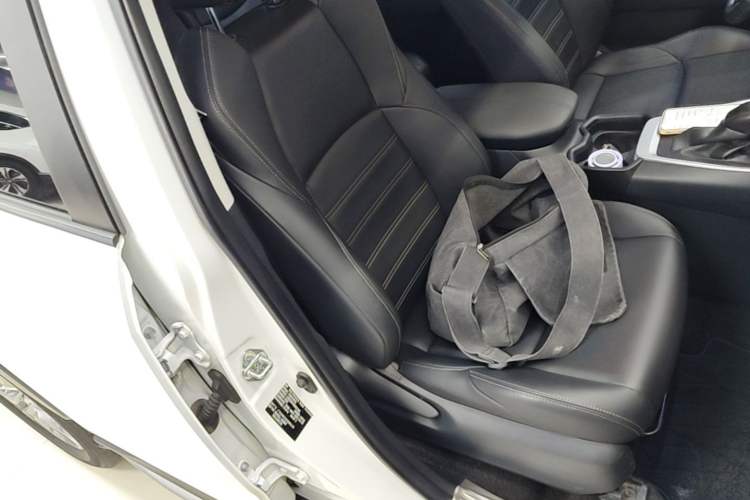 Used Toyota Wildlander 2022 2.0L CVT Two-Wheel Drive Luxury Edition Right Front Seat