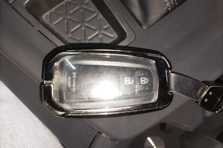 Used Toyota Wildlander 2022 2.0L CVT Two-Wheel Drive Luxury PLUS Edition Vehicle Key
