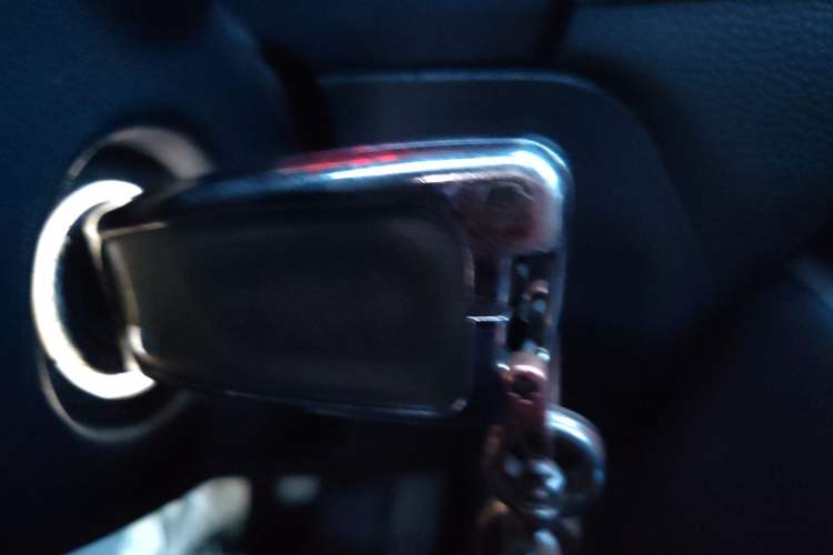 Used Toyota Wildlander 2022 2.0L CVT Two-Wheel Drive Leading Edition Vehicle Key