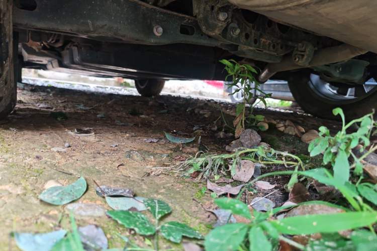 Used Toyota Wildlander 2023 Dual-Engine 2.5L E-CVT Two-Wheel Drive Urban Edition Chassis Rear Left