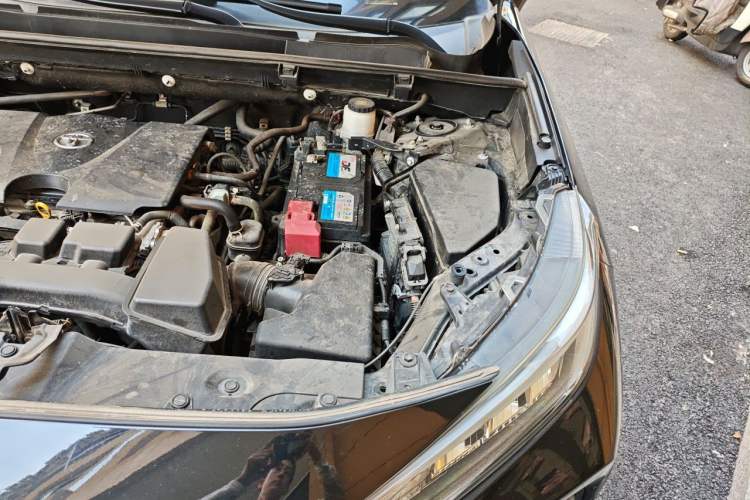 Used Toyota Wildlander 2023 2.0L CVT Two-Wheel Drive Leading Edition Engine Bay Left