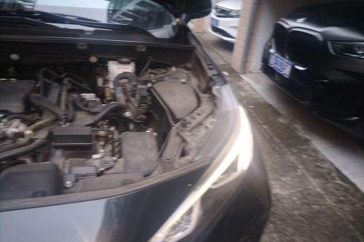Used Toyota Wildlander 2023 Dual-Motor 2.5L E-CVT Two-Wheel Drive Luxury PLUS Edition Engine Bay Left