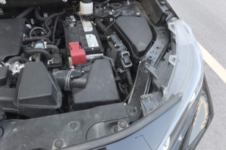 Used Toyota Wildlander 2023 2.0L CVT Four-Wheel Drive Luxury PLUS Edition Engine Bay Left