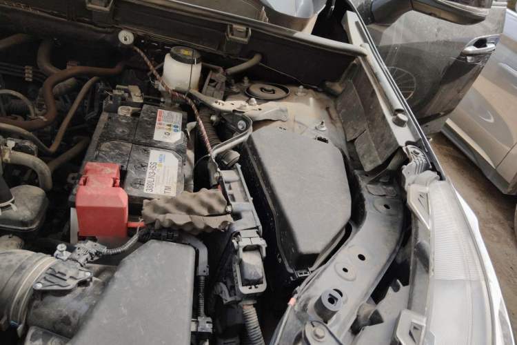 Used Toyota Wildlander 2023 2.0L CVT Four-Wheel Drive Luxury PLUS Edition Engine Bay Left