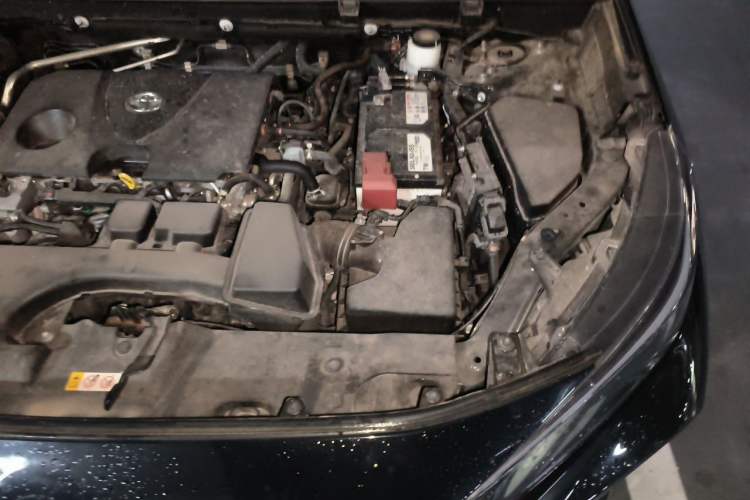 Used Toyota Wildlander 2023 2.0L CVT Two-Wheel Drive Leading Edition Engine Bay Left