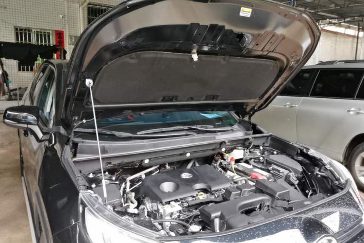 Used Toyota Wildlander 2023 2.0L CVT Two-Wheel Drive Leading Edition Engine Bay