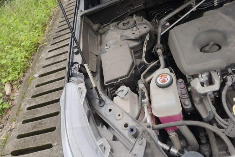 Used Toyota Wildlander 2023 Dual-Motor 2.5L E-CVT Two-Wheel Drive Luxury PLUS Edition Engine Bay Right