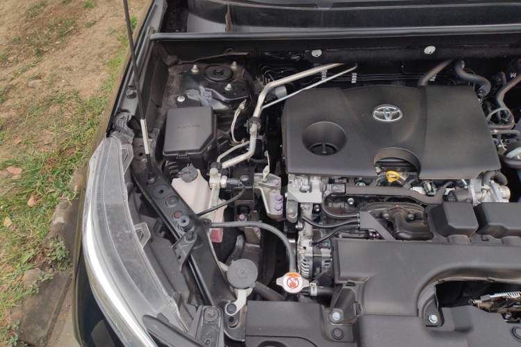 Used Toyota Wildlander 2023 2.0L CVT Two-Wheel Drive Leading Edition Engine Bay Right
