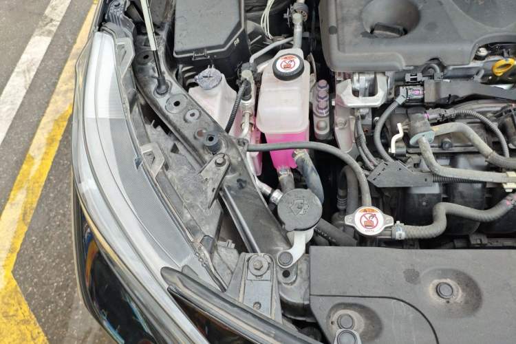 Used Toyota Wildlander 2023 2.0L CVT Two-Wheel Drive Luxury PLUS Edition Engine Bay Right