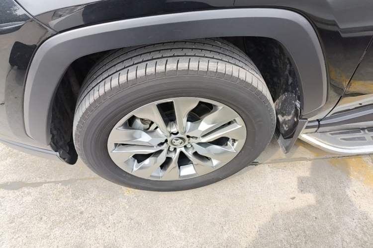 Used Toyota Wildlander 2023 2.0L CVT Two-Wheel Drive Leading Edition Exterior 4