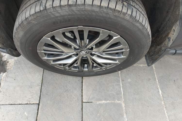 Used Toyota Wildlander 2023 2.0L CVT Four-Wheel Drive Luxury PLUS Edition Exterior 4