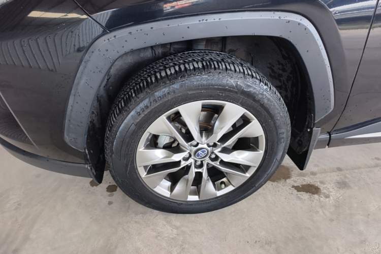 Used Toyota Wildlander 2023 2.0L CVT Two-Wheel Drive Leading Edition Exterior 4