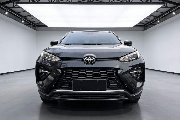 Used Toyota Wildlander 2023 2.0L CVT Two-Wheel Drive Urban Edition Exterior 4