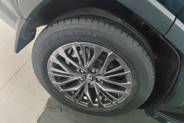 Used Toyota Wildlander 2023 2.0L CVT Two-Wheel Drive Luxury PLUS Edition Exterior 8