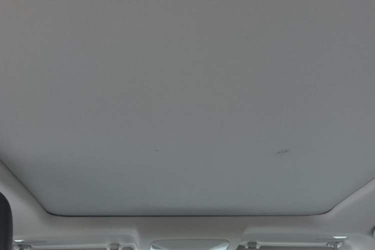 Used Toyota Wildlander 2023 2.0L CVT Four-Wheel Drive Luxury PLUS Edition Headliner