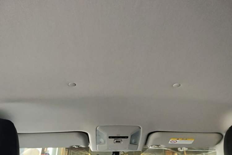 Used Toyota Wildlander 2023 2.0L CVT Two-Wheel Drive Leading Edition Headliner