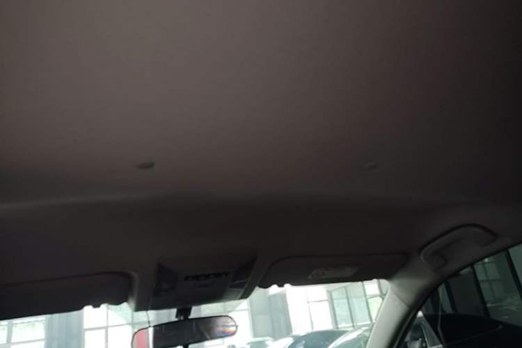 Used Toyota Wildlander 2023 2.0L CVT Two-Wheel Drive Leading Edition Headliner