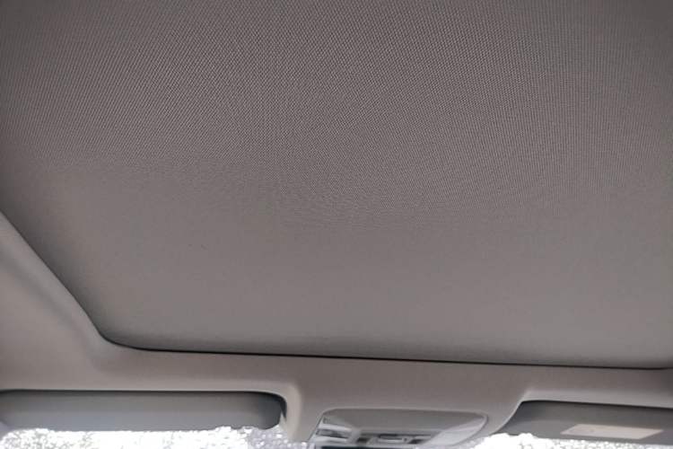 Used Toyota Wildlander 2023 2.0L CVT Four-Wheel Drive Luxury PLUS Edition Headliner