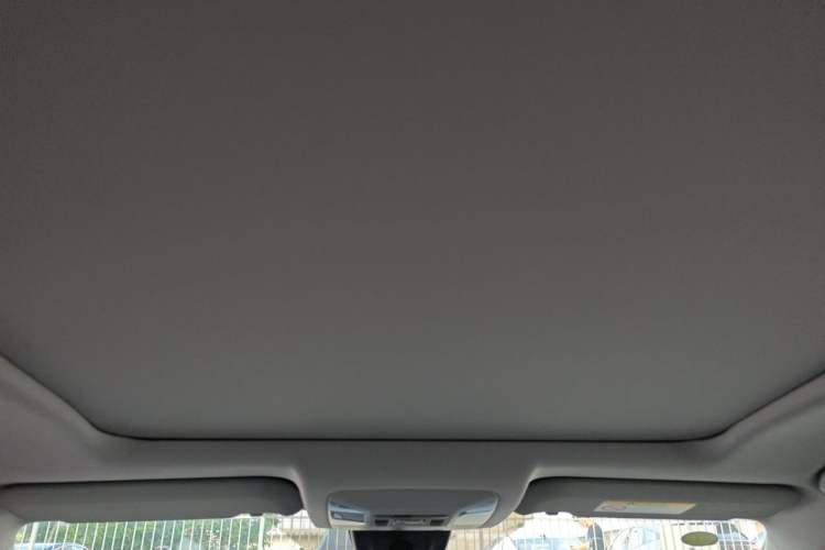 Used Toyota Wildlander 2023 2.0L CVT Four-Wheel Drive Luxury PLUS Edition Headliner