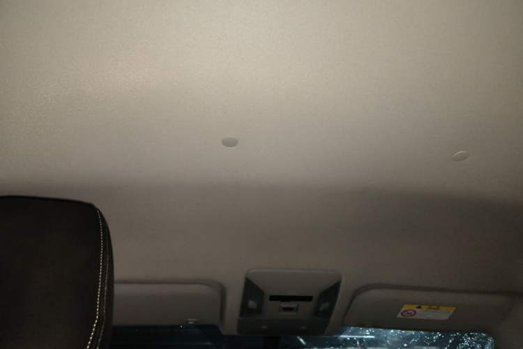 Used Toyota Wildlander 2023 2.0L CVT Two-Wheel Drive Leading Edition Headliner