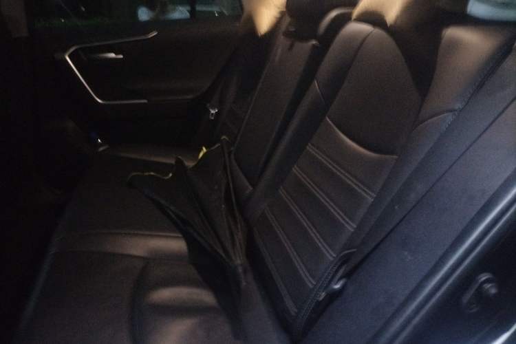 Used Toyota Wildlander 2023 Dual-Motor 2.5L E-CVT Two-Wheel Drive Luxury PLUS Edition Left Rear Seat
