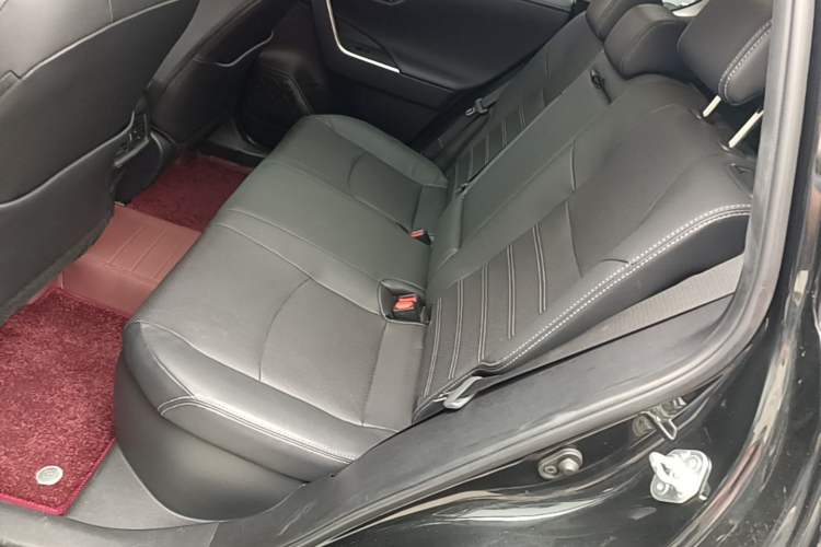 Used Toyota Wildlander 2023 Dual-Motor 2.5L E-CVT Two-Wheel Drive Prestige Edition Left Rear Seat