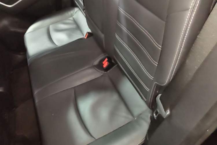 Used Toyota Wildlander 2023 Dual-Motor 2.5L E-CVT Two-Wheel Drive Luxury PLUS Edition Left Rear Seat