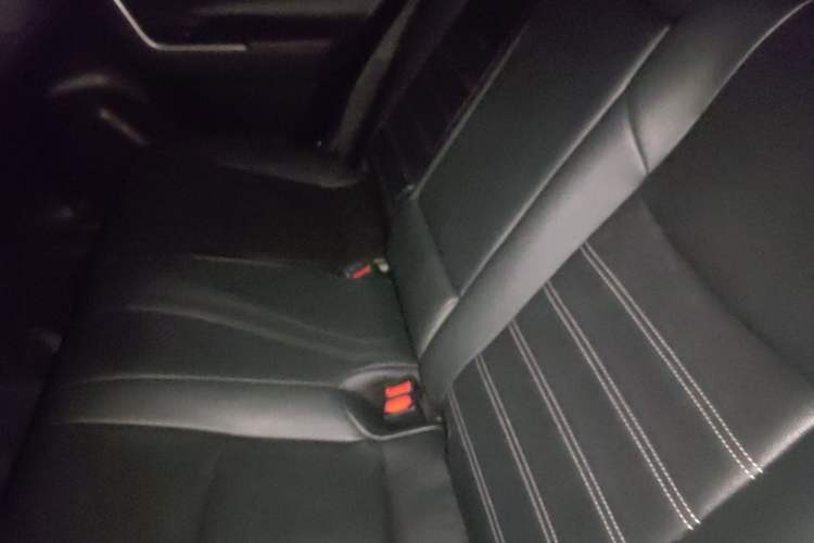 Used Toyota Wildlander 2023 2.0L CVT Two-Wheel Drive Luxury PLUS Edition Left Rear Seat