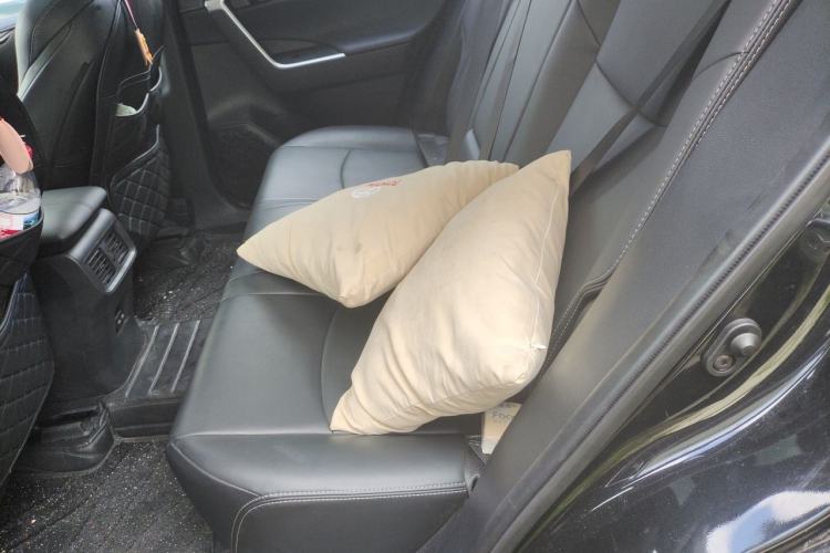 Used Toyota Wildlander 2023 2.0L CVT Two-Wheel Drive Urban Edition Left Rear Seat