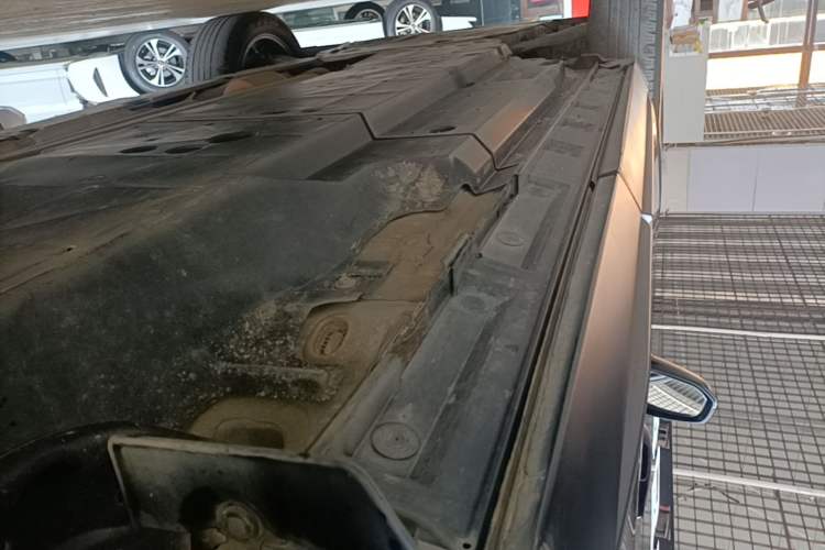 Used Toyota Wildlander 2023 2.0L CVT Two-Wheel Drive Leading Edition Left Side Sill