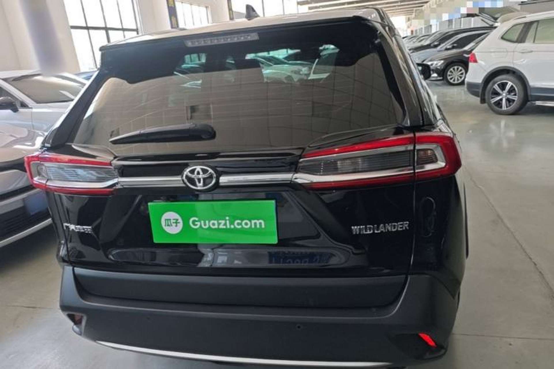 Used Toyota Wildlander 2023 2.0L CVT Two-Wheel Drive Urban Edition Rear