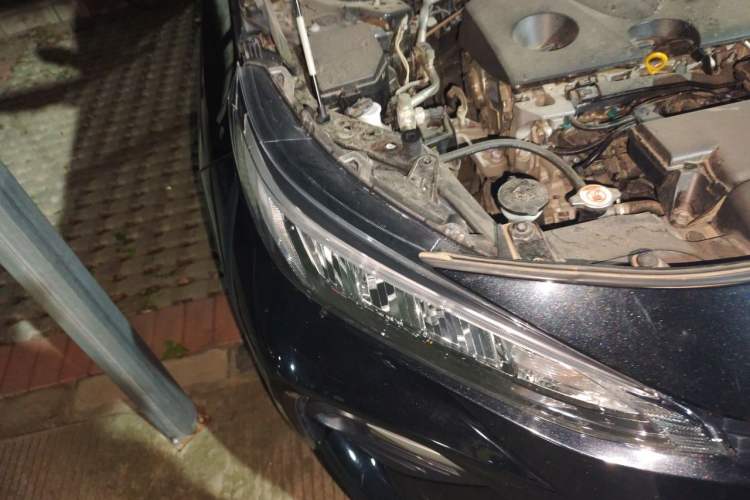 Used Toyota Wildlander 2023 2.0L CVT Two-Wheel Drive Leading Edition Right Front Headlight