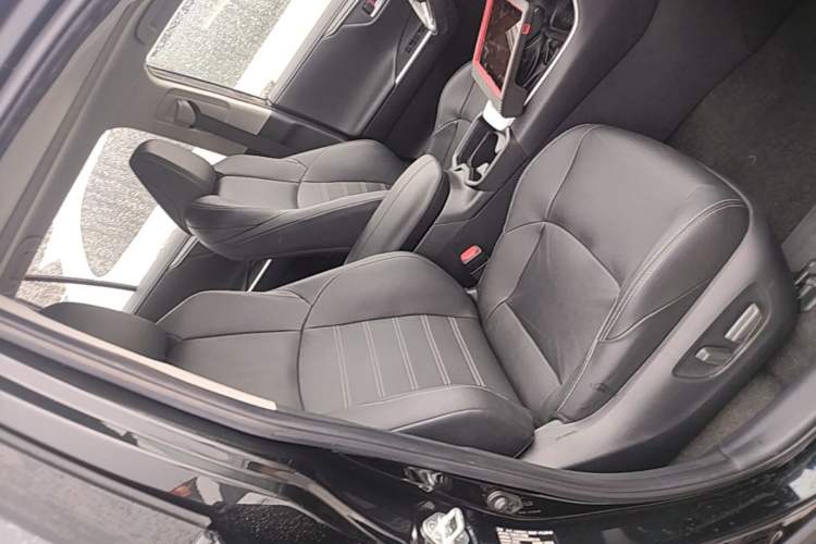 Used Toyota Wildlander 2023 2.0L CVT Four-Wheel Drive Luxury PLUS Edition Right Front Seat