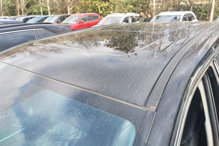 Used Toyota Wildlander 2023 2.0L CVT Two-Wheel Drive Urban Edition Roof