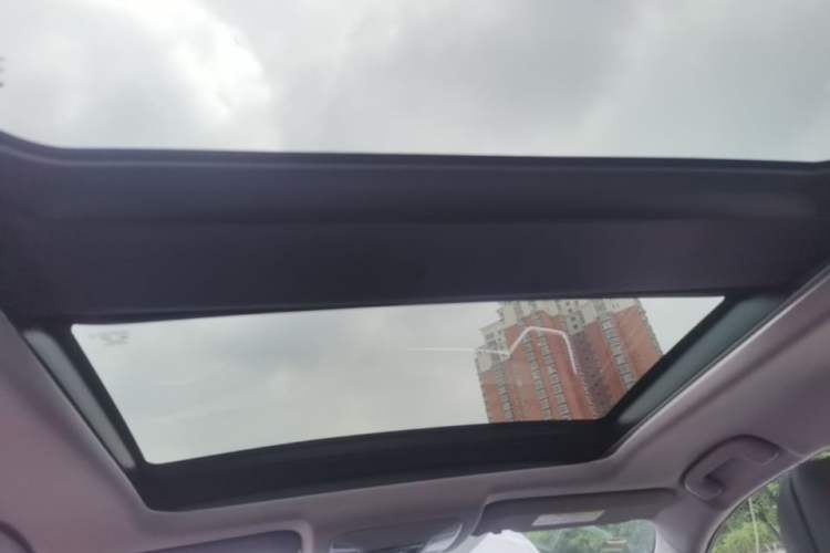 Used Toyota Wildlander 2023 2.0L CVT Four-Wheel Drive Luxury PLUS Edition Headliner