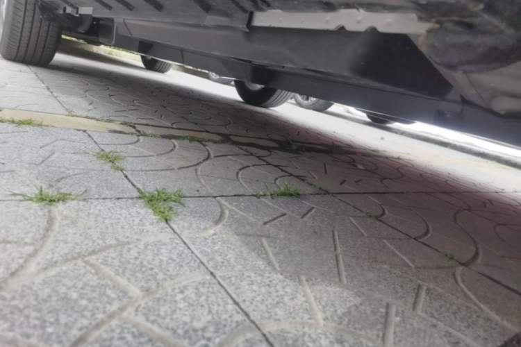 Used Toyota Wildlander 2023 2.0L CVT Four-Wheel Drive Luxury PLUS Edition Right Side Sill